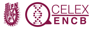 ENCB